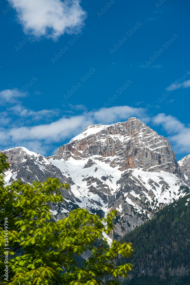 Mountain peak and blue sky behind green trees