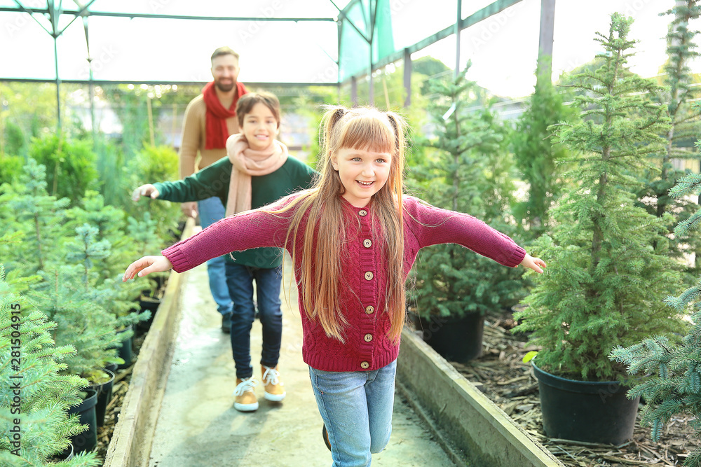 Family choosing Christmas tree in greenhouse