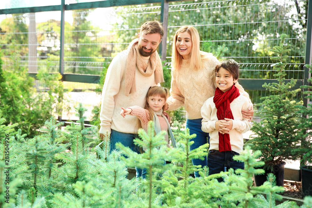 Family choosing Christmas tree in greenhouse