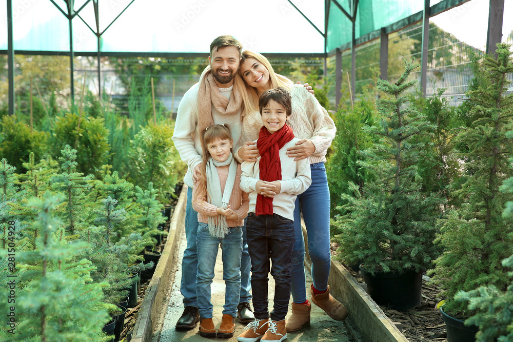 Family choosing Christmas tree in greenhouse