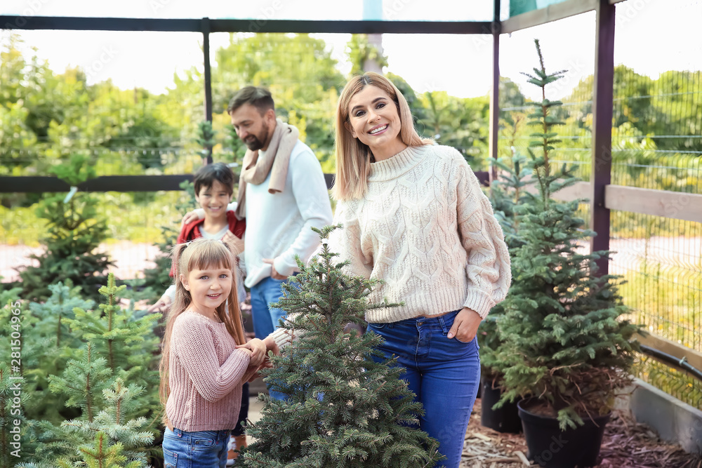 Family choosing Christmas tree in greenhouse