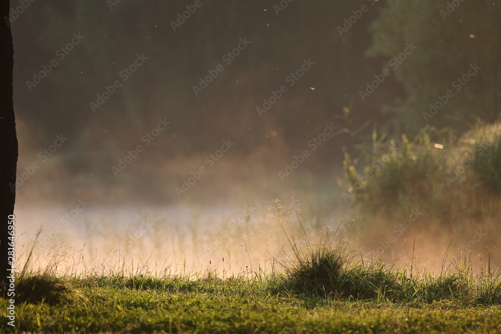 The morning mist and sunrise sunlight reflects on the surface of water in a lake