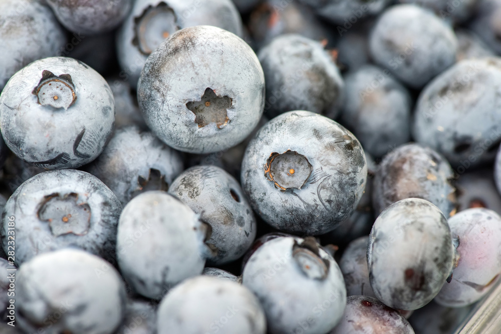 Close up texture of fresh organic blueberries