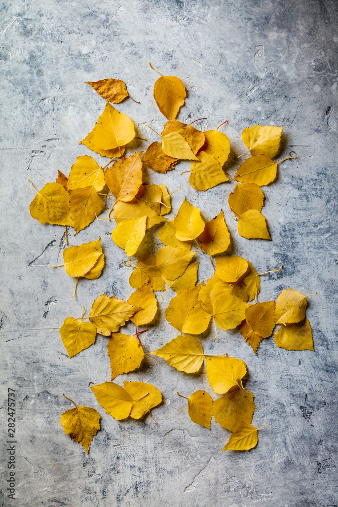 Autumn composition made of dried leaves on concrete background