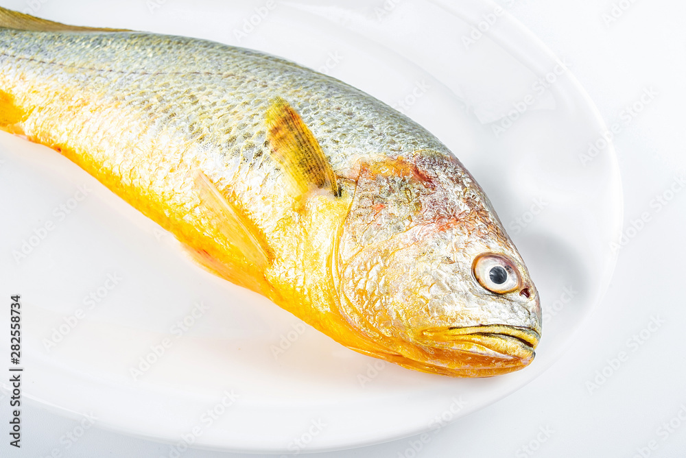 a fresh sea fish yellow croaker on a white background dish