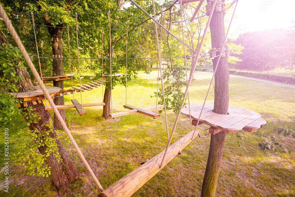 Ropes park equipment for kids on the trees