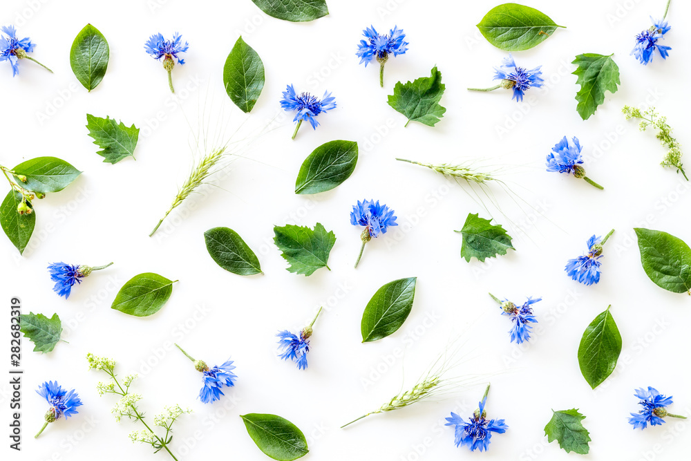 Summer flowers pattern with blue cornflowers and leaves on white background top view