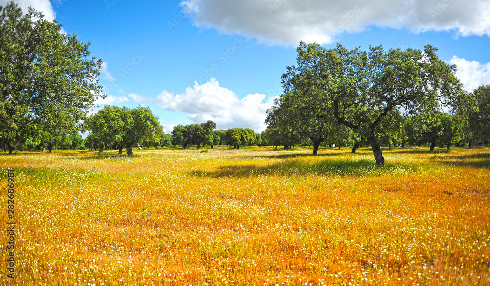 Extremadura in springtime. Natural landscape in the province of Cáceres near Aldea del Cano village,