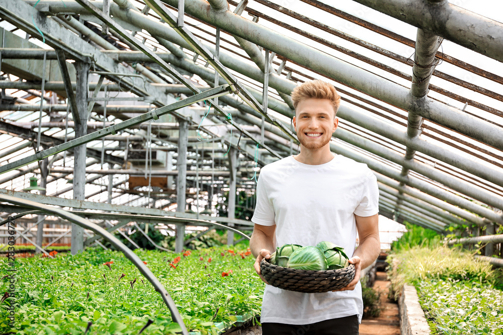 Handsome male gardener working in greenhouse