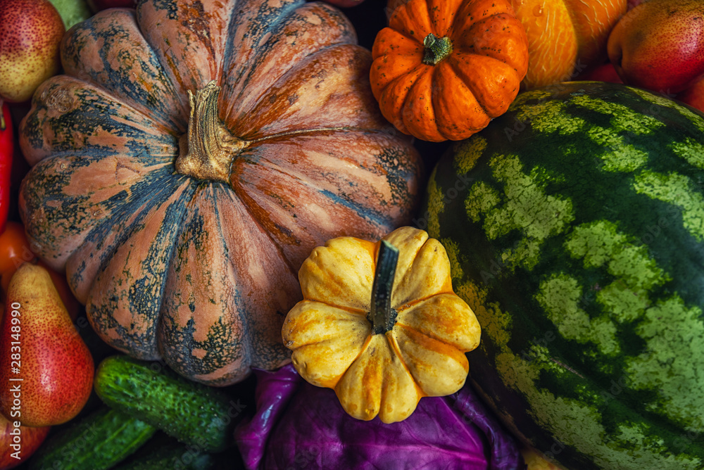 Autumn background with pumpkins, vegetables and fruit. Fall harvest. Mockup for seasonal offers. Top