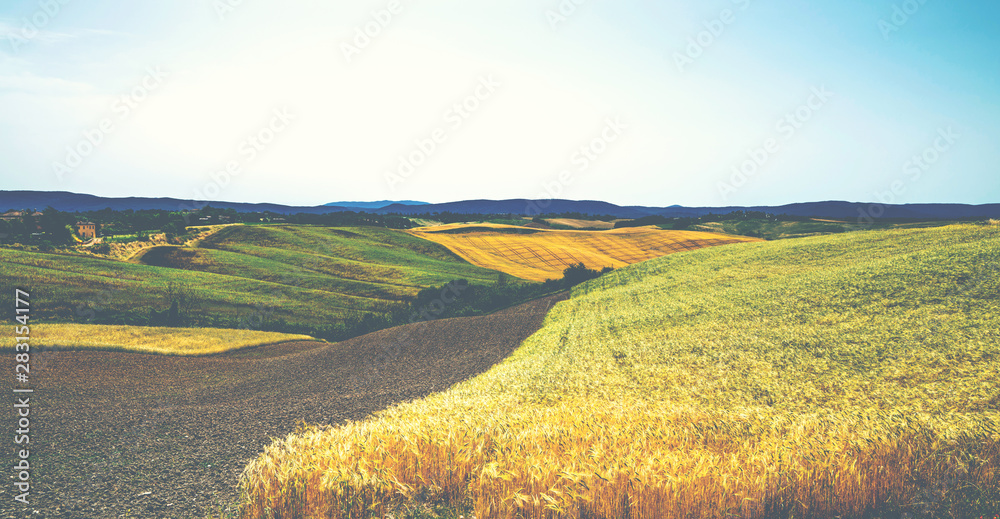 Golden autumn in Tuscany. Italy. Tuscany landscape. Europa. Summer, holiday, traveling concept. Vint