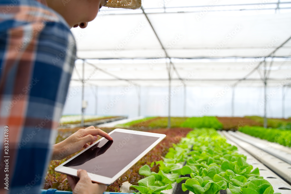 Smart young cute Asian farmer girl using tablet to check quality and quantity of vegetable in hydrop