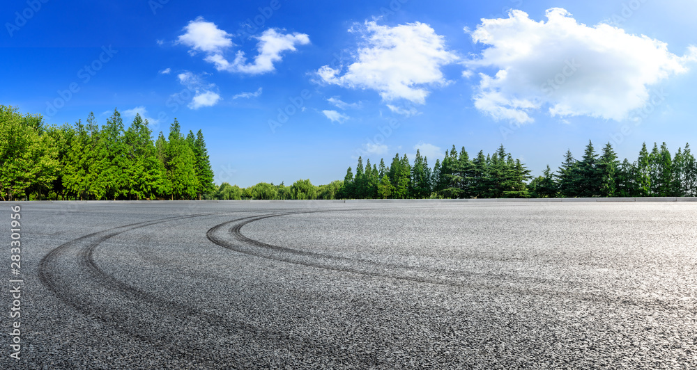 夏季沥青赛道和绿树自然景观