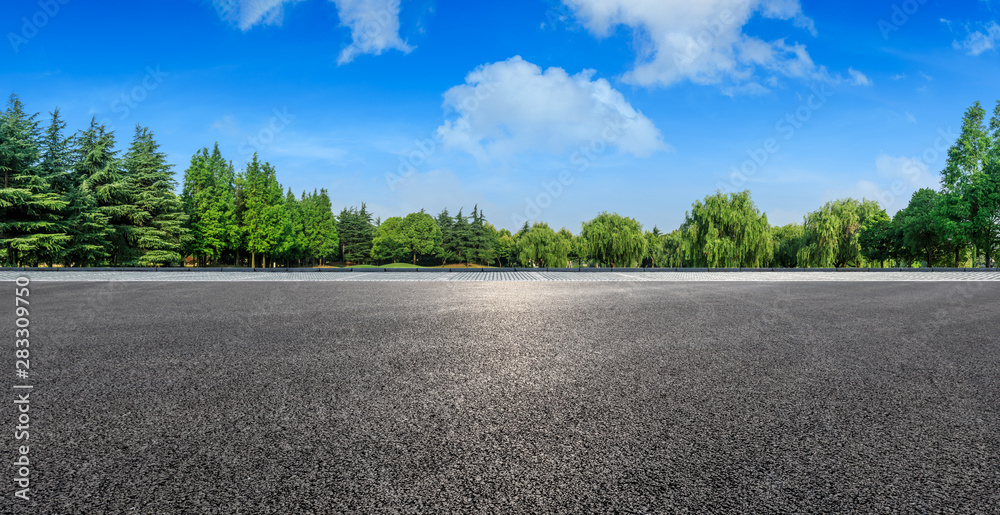 夏日乡村柏油路与绿树自然景观