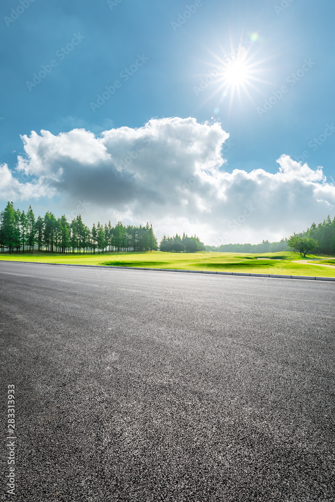 Country road and green woods nature landscape in summer