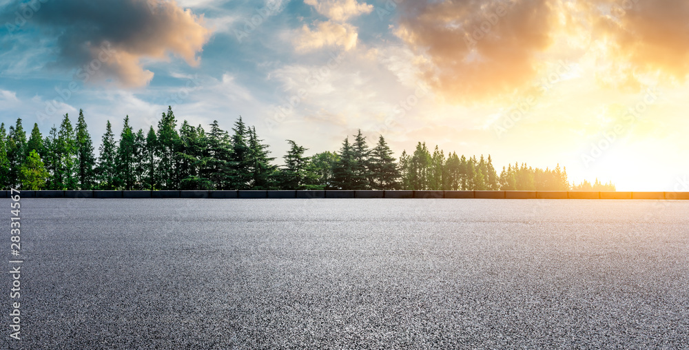 Country asphalt road and green woods nature landscape at sunset