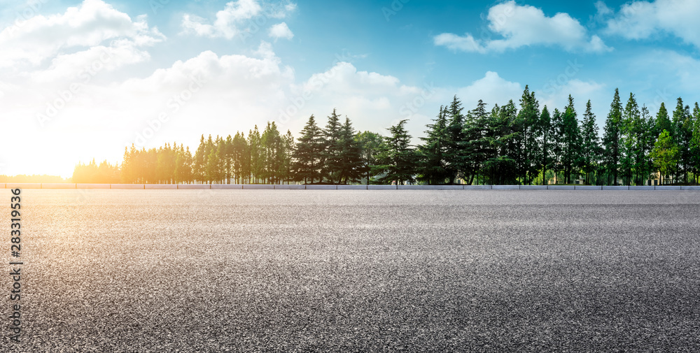 Country asphalt road and green woods nature landscape at sunset