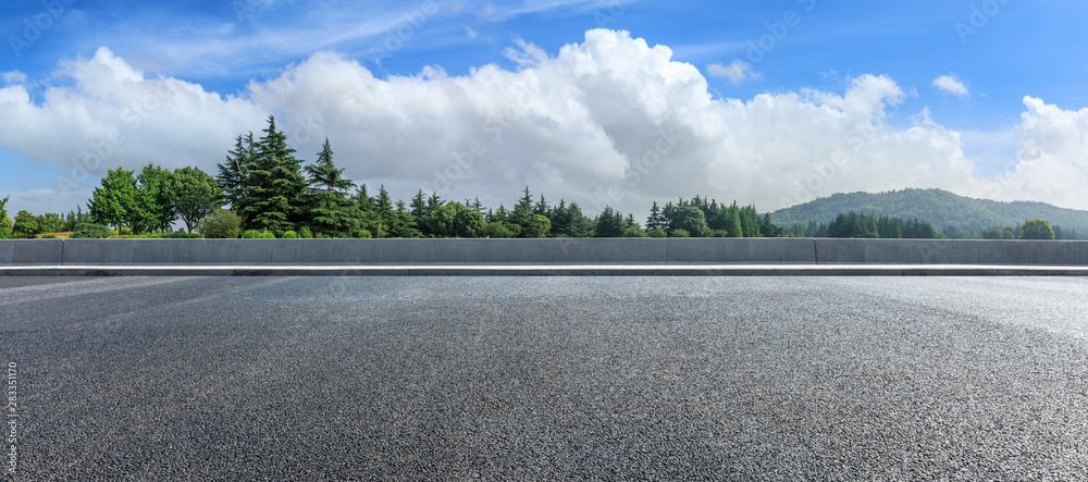 夏日乡村柏油路与绿树自然景观