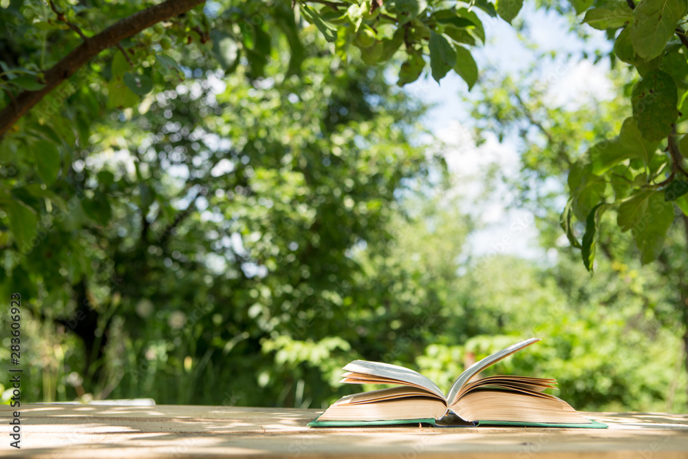 Open book on a wooden table in a garden. Sunny summer day, reading in a vacation concept