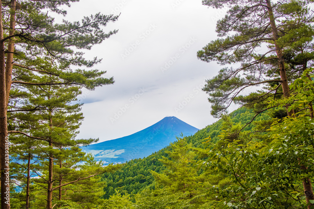 山奥の林の隙間から見える富士山