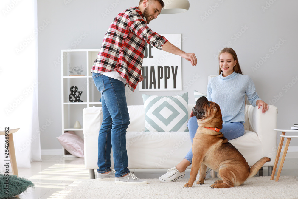 Happy couple training cute dog at home