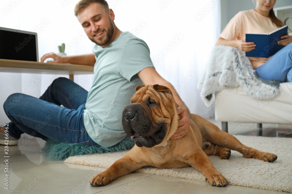 Cute Shar-Pei dog with owners at home