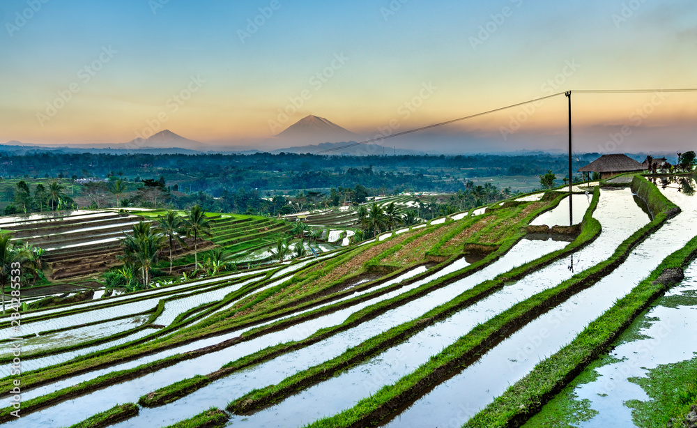 Jatiluwih Rice Terraces on Bali, Indonesia