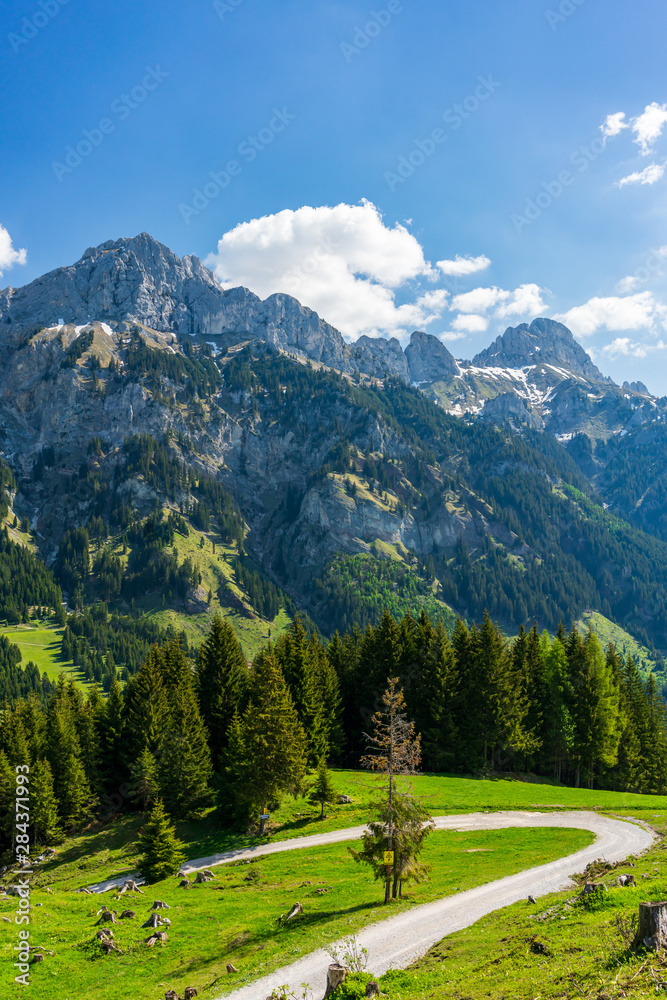 Road in front of the mountain Rote Flüh