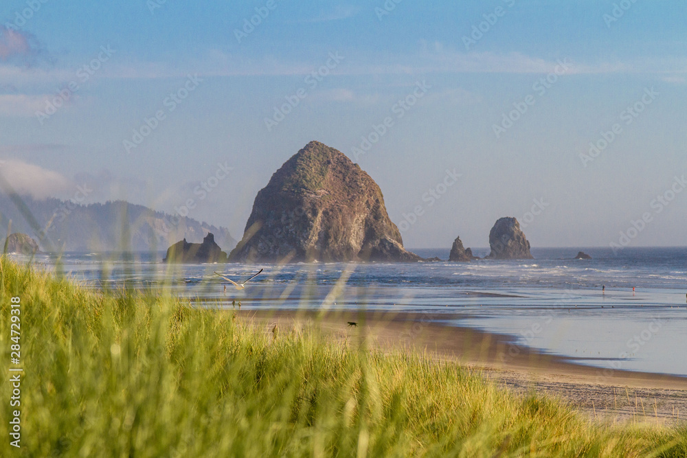 海上海岸