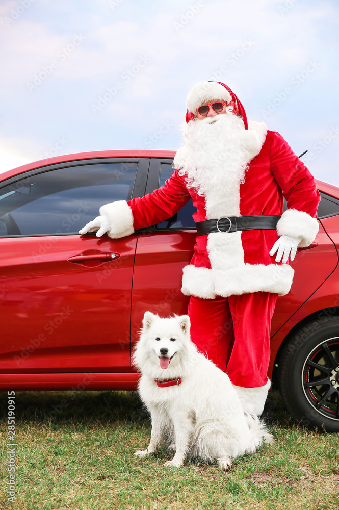 Santa Claus with cute dog near car outdoors