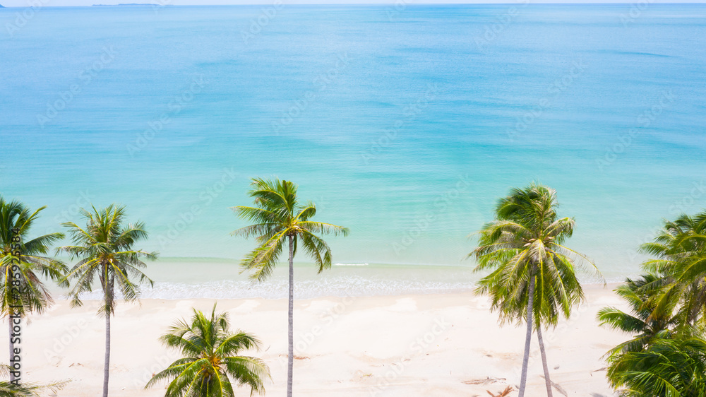 Aerial view palm beach in tropical idyllic paradise island.