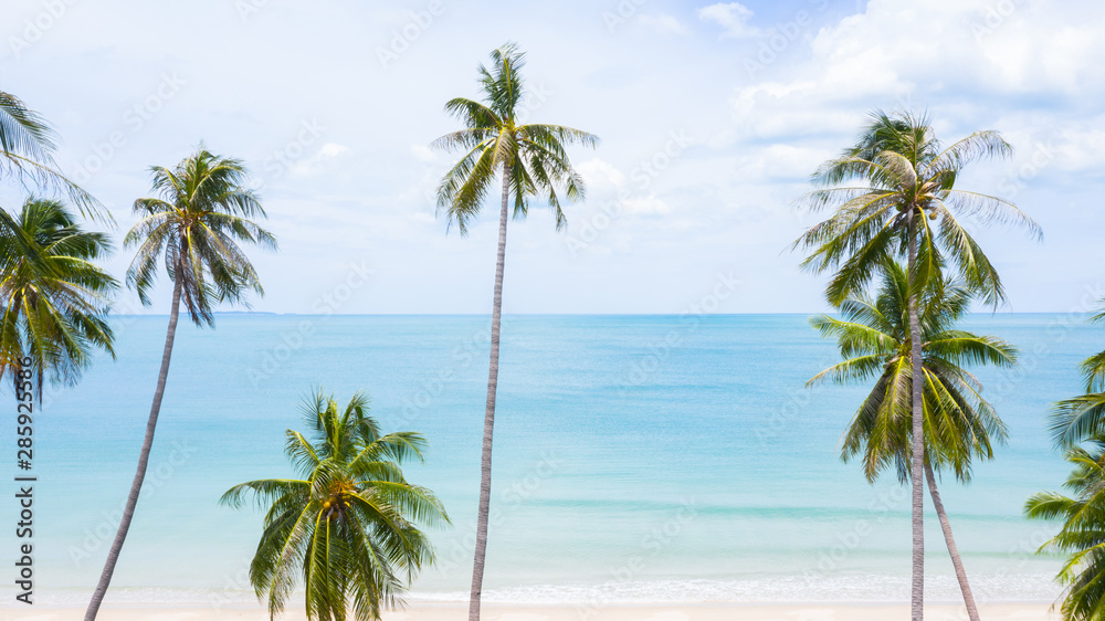 Aerial view palm beach in tropical idyllic paradise island.