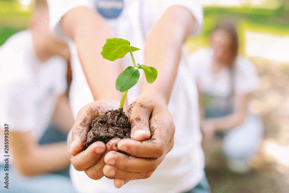 Little volunteer with young plant outdoors, closeup