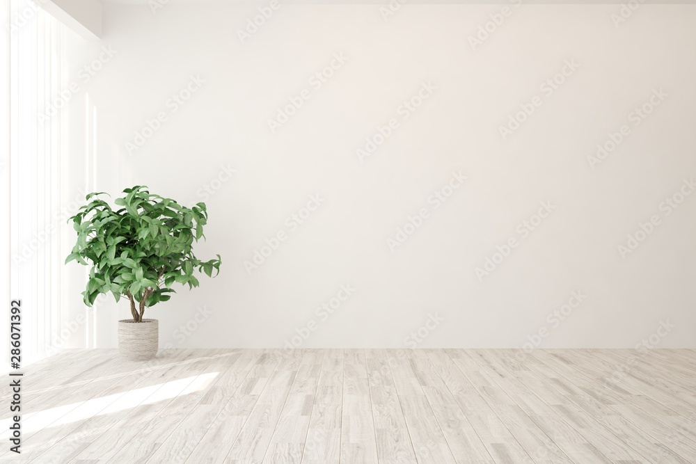 Empty room in white color. Scandinavian interior design. 3D illustration