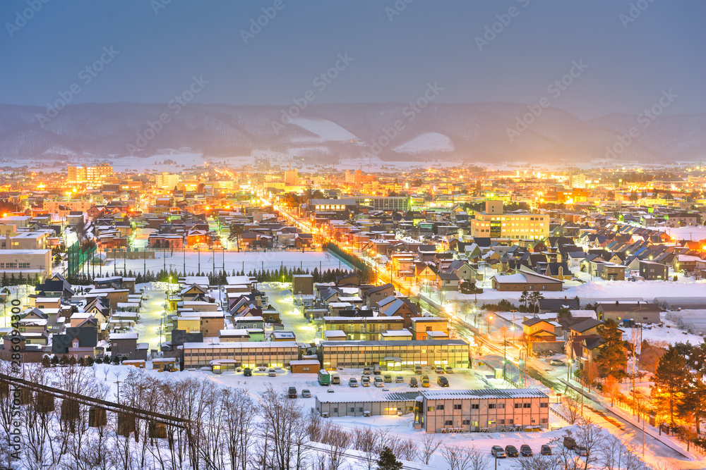 Furano, Hokkaido, Japan town skyline in winter.