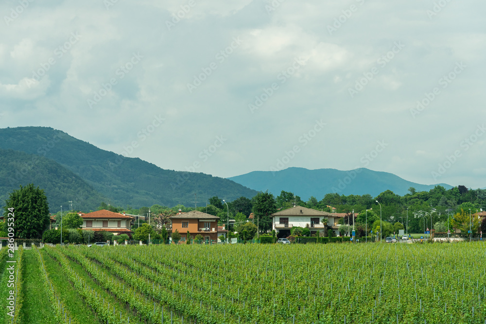 意大利乡村旅游景观