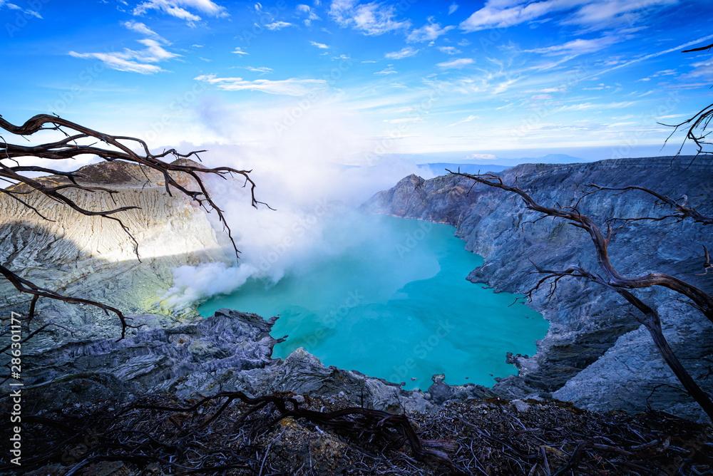 印度尼西亚爪哇岛的Kawah Ijen火山，蓝天背景下有枯树。