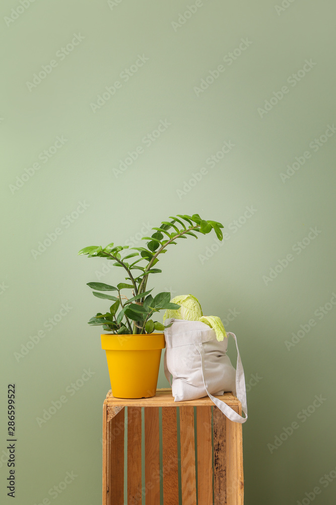 Eco bag with cabbage and plant in pot on color background