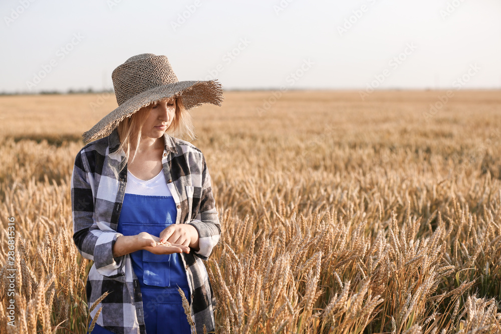 Farmer in field on sunny day