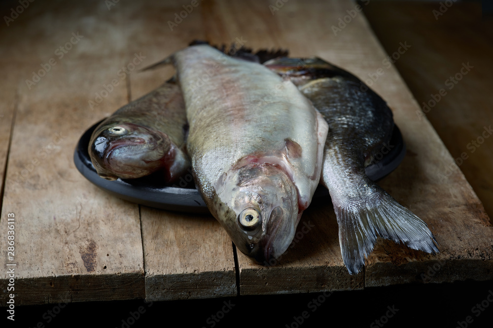 fresh raw fishes