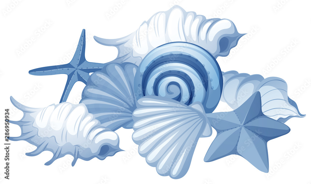 Different types of seashells on white background