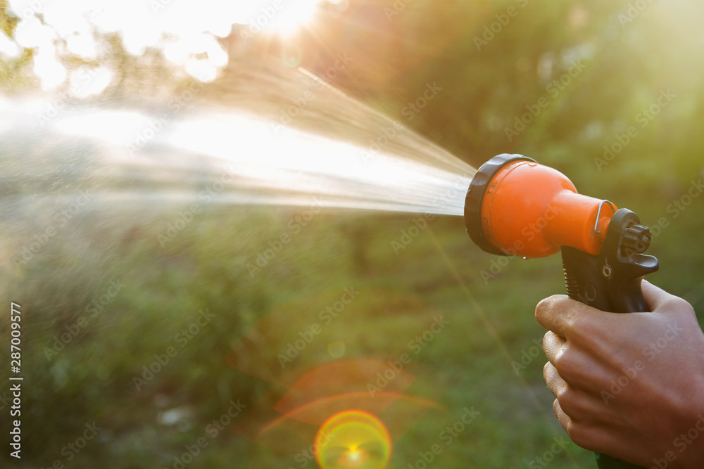 Watering a plants gardening care concept, watering hose in a hand on garden background