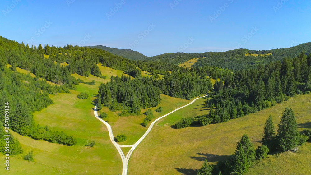 AERIAL: Two country roads in idyllic forested valley meet at the crossroads