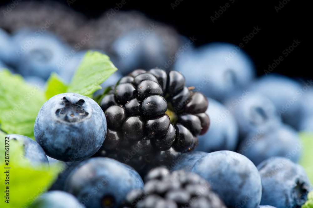 Blueberry and blackberry background. Ripe and juicy fresh picked blueberries rotate closeup