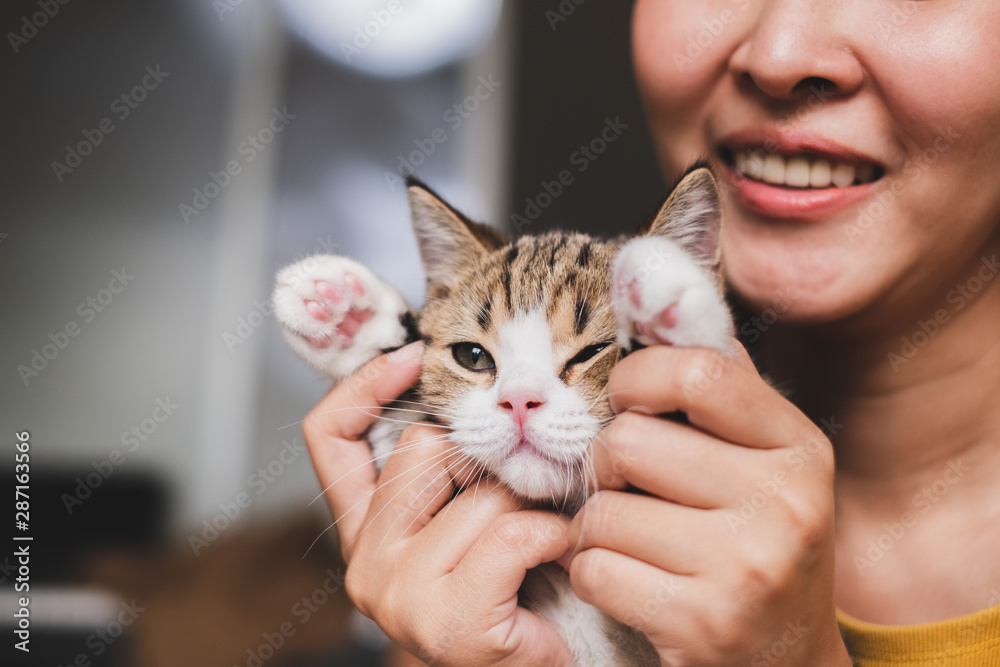 年轻的亚洲女人抱着她可爱的小猫玩耍，拥有可爱的时刻，宠物和人类的骗局