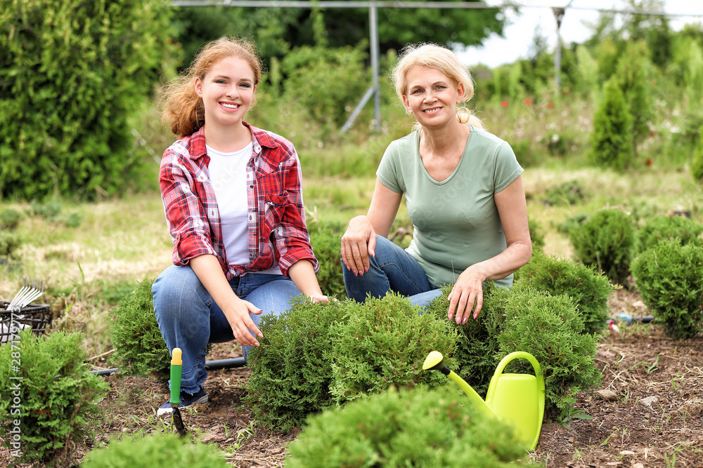 Female gardeners taking care of plants outdoors