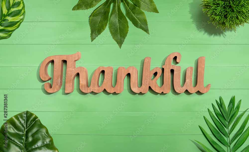 Thankful wooden text with green tropical leaves