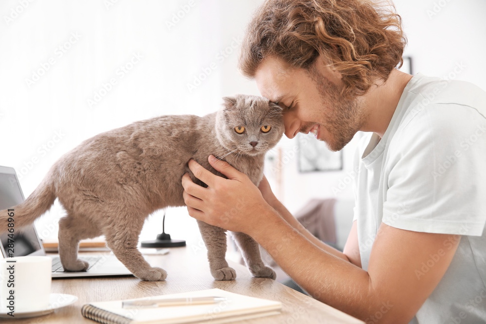 男人在家工作时抚摸可爱有趣的猫