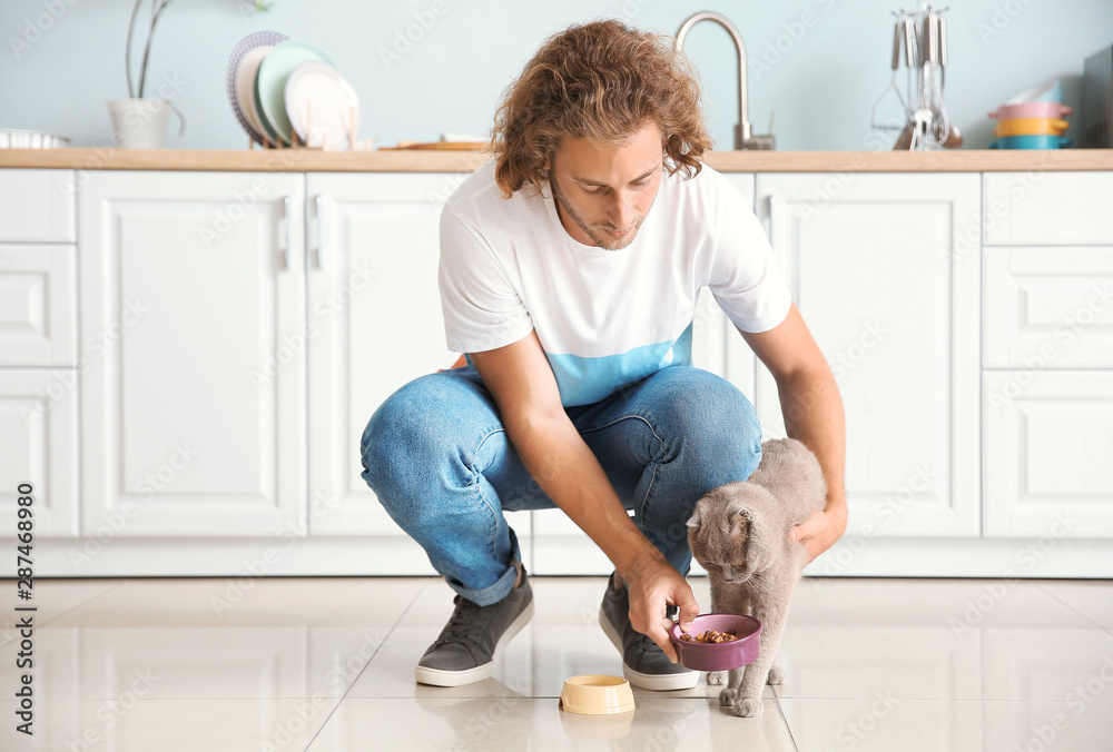 男人在厨房里喂可爱有趣的猫