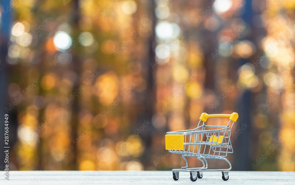 Fall season shopping theme with shopping cart on a fall forest background